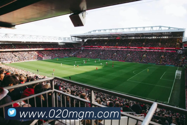 美高梅娱乐服务体系